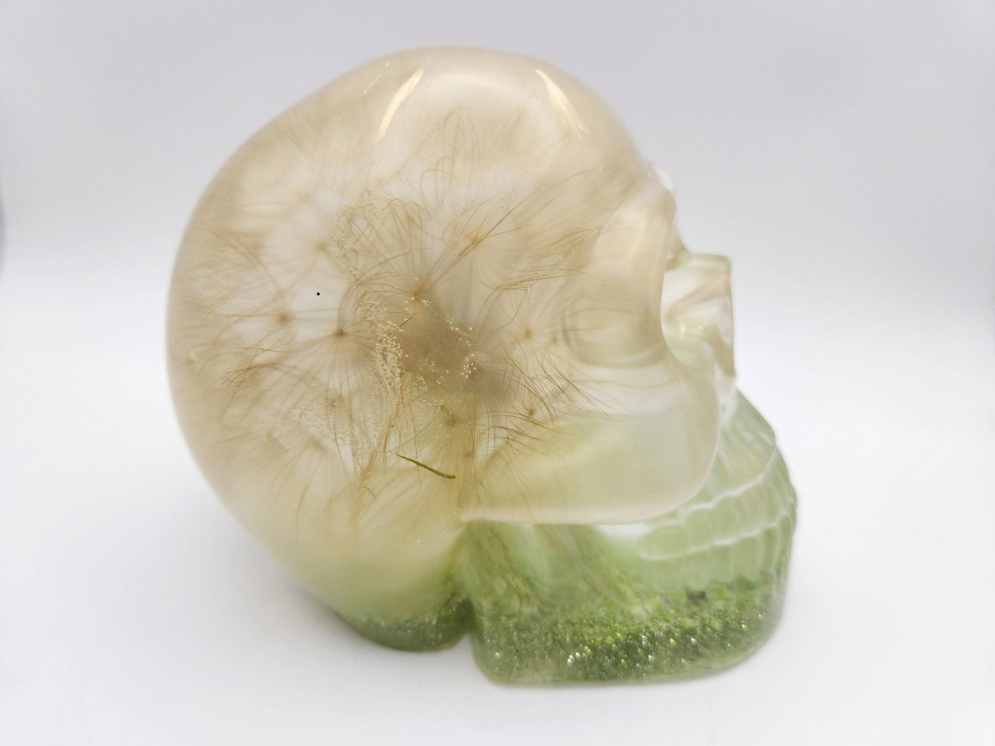 Large Skull With Salsify - Resonating Crystal Creations